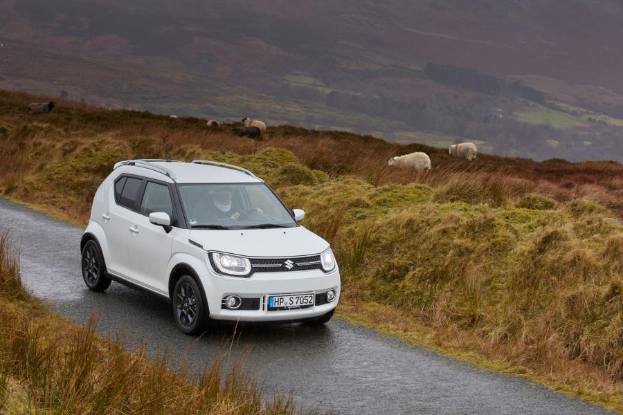  Suzuki Ignis AllGrip 2016 года  (WW) (фото 13 из 40)